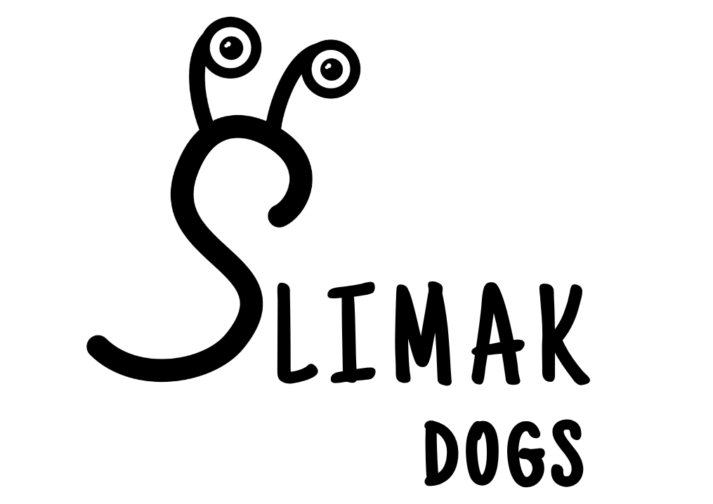 Ślimak Dogs – take it slow!